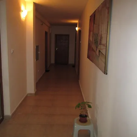 Alex 2 Alexander Services Bansko